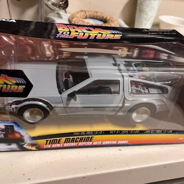 [BUNJANG] NECA Back to the Future DeLorean 1/16 Scale Diecast Replica / NECA 백투더퓨처 드로리언 피규어