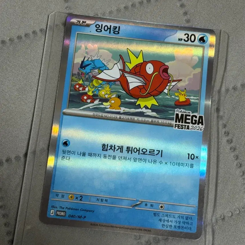 [BUNJANG] Pokemon Magikarp Promo Card Pack 2026 / 포켓몬 잉어킹 프로모 카드 팩 2026