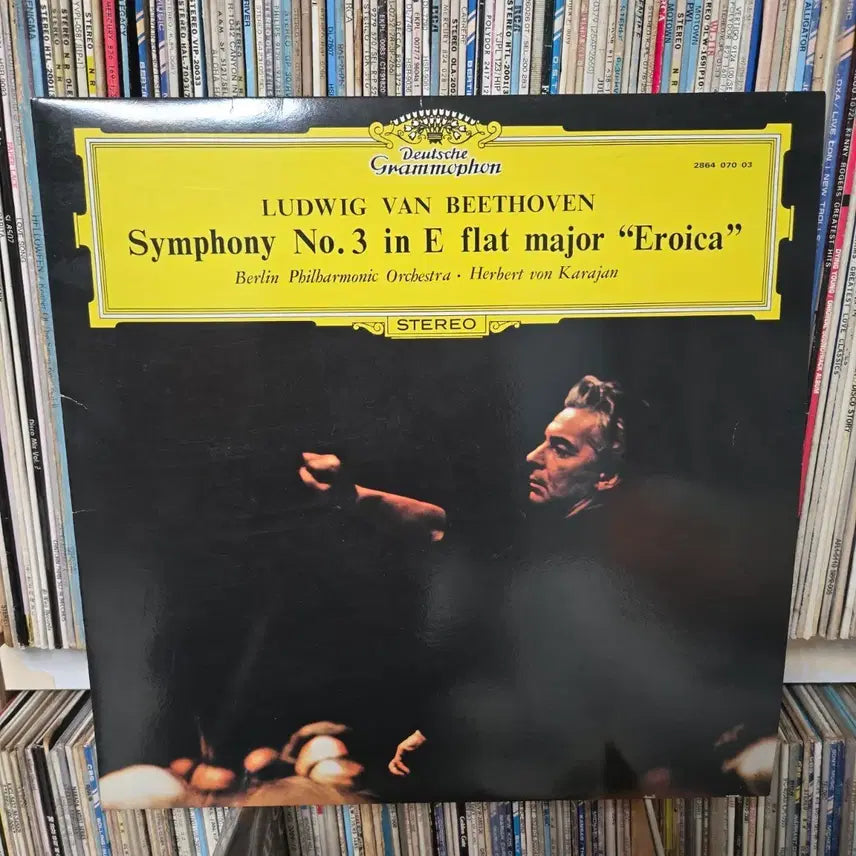[BUNJANG] Ludwig van Beethoven Symphony No. 3 &