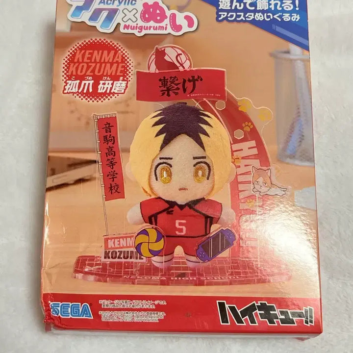 [BUNJANG] Haikyuu!! Kozume Kenma Acrylic Plush Doll / 하이큐 코즈메 켄마 아크릴 누이구루미 아크누이