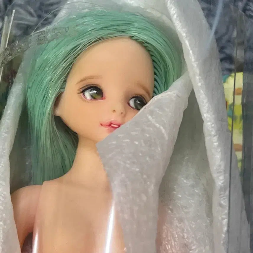 [BUNJANG] Dorandoran Doll Sapildo Mint / 사랑이 필요한 도란도란 인형 사필도 민트
