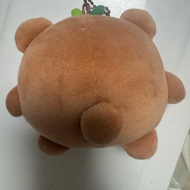 [BUNJANG] ATEEZ Jjongbear Stress Ball Jongho / 애니티즈 쫑베어 스트레스볼 종호