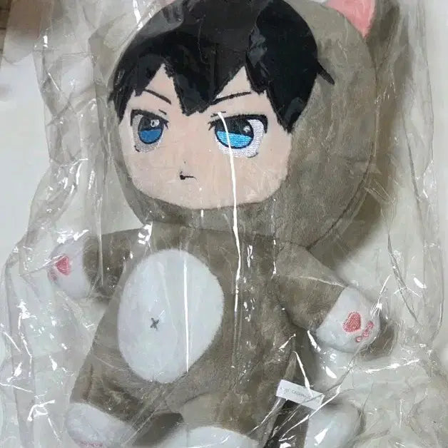 [BUNJANG] Haikyuu!! Kageyama Tobio Cat Plush Doll / 하이큐 속성 솜인형 카게야마 동물 고양이