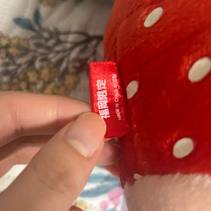 [BUNJANG] Vintage Strawberry Kitty Doll (Rare) / 고전 딸기 키티 인형 (레어)
