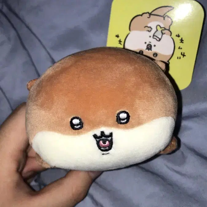 [BUNJANG] Nagano Market Otter Kawuso Mascot Plush / 나가노마켓 수족관 수달 카와우소 마스코트 인형