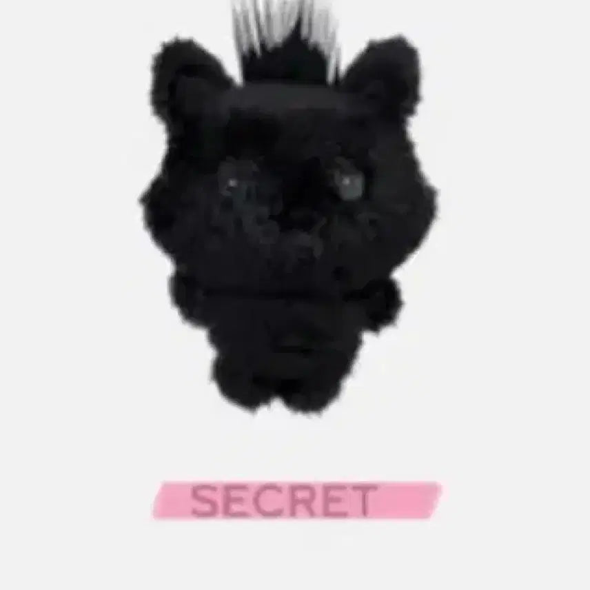 [BUNJANG] Sioning Color Doll Secret Black / 시오닝 컬러돌 시크릿 블랙