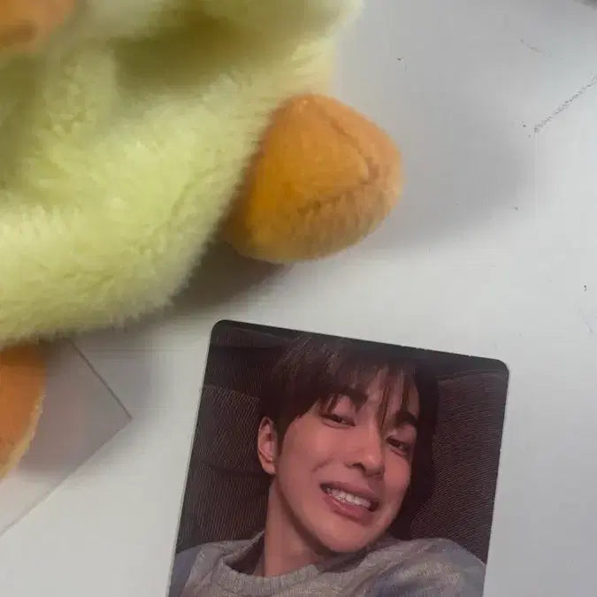 [BUNJANG] ONEUS GUNHEE Green Photocard / 건호 그린그린 포카 양도