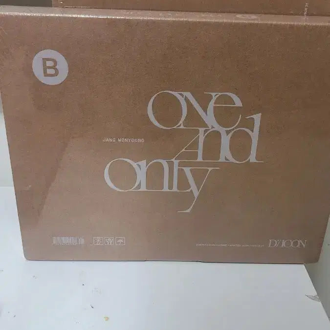 [BUNJANG] IVE Jang Wonyoung Dicon One and Only Photobook B Sealed / 디아이콘 장원영 one and only 포토북 B IVE 아이브 미개봉