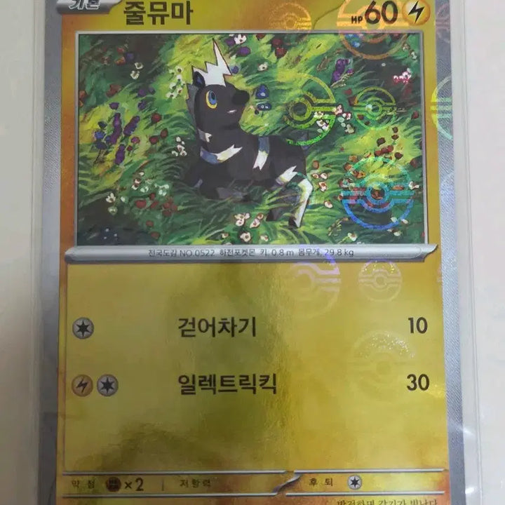 [BUNJANG] Pokemon Card Jumma, Zebstrika Moncol / 포켓몬 카드 줄뮤마, 제브라이카 몬볼