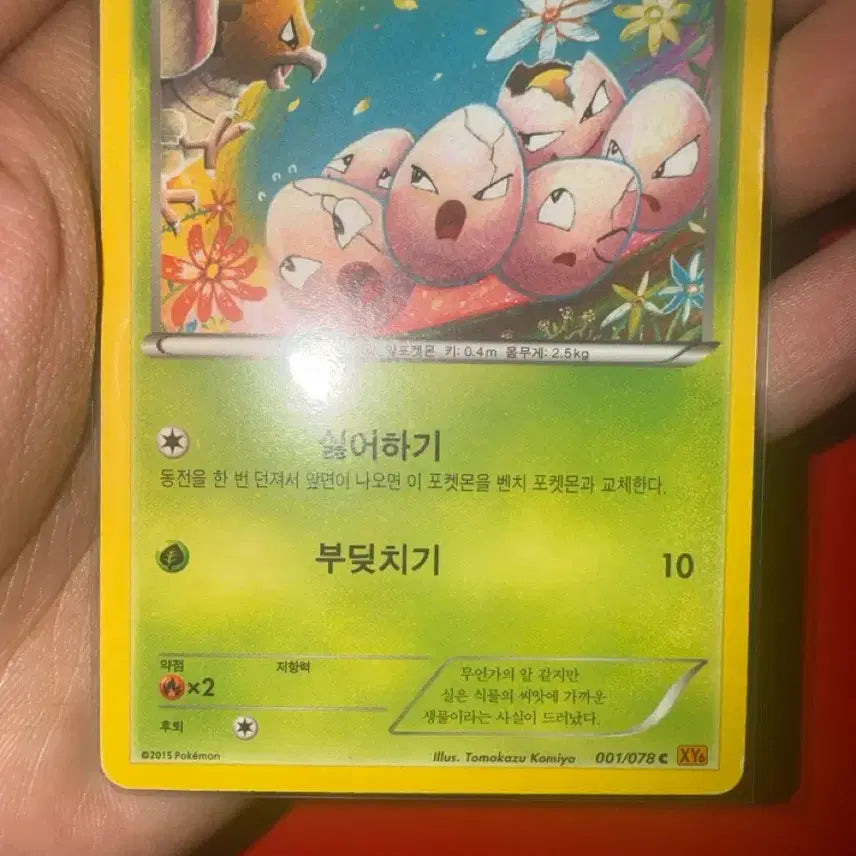 [BUNJANG] Pokemon TCG Arali XY6 Card / 포켓몬스터 카드 아라리 XY6