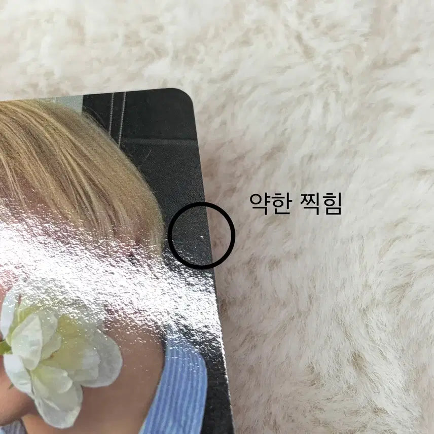 [BUNJANG] BOYNEXTDOOR Sung-ho BOYNEXTDOOR x Weverse POB Photocard / 보넥도 성호 포카 디액션 위버스 특전