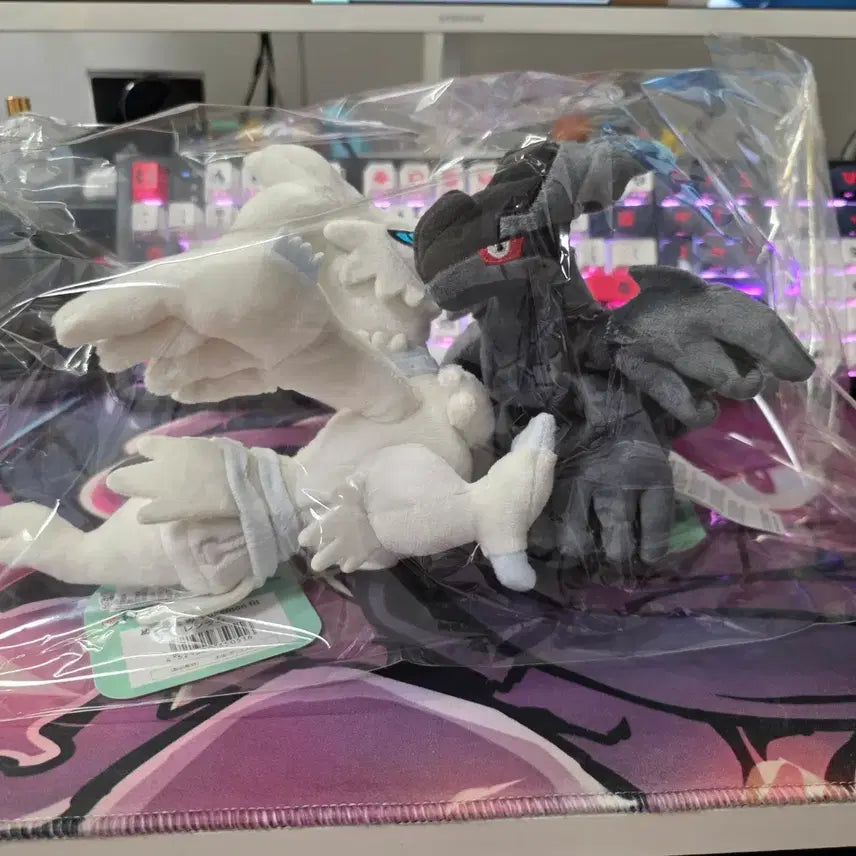 [BUNJANG] Pokemon Fit Reshiram, Zekrom Plush Bundle Set / (새상품/일괄) 포켓몬 fit 레시라무, 제크로무 봉제인형