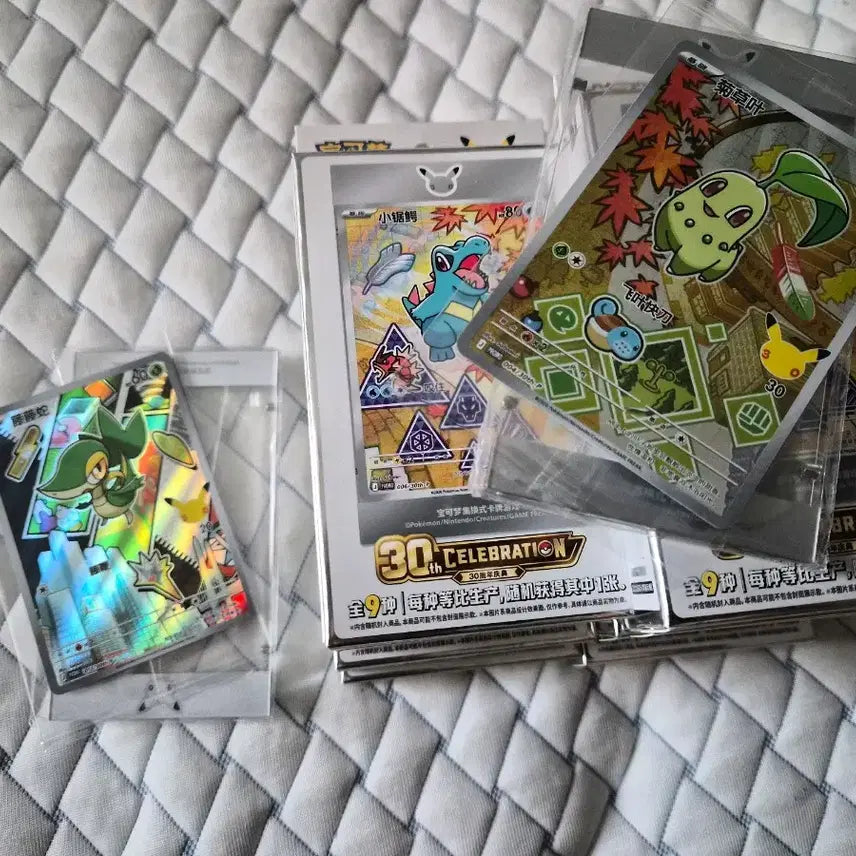 [BUNJANG] First Partners Vol. 2 30th Anniversary Promo 9 Boxes + Cyndaquil, Jural / 택포15) 중판 30주년 프로모 퍼스트 파트너스 vol2 9박스 + 치코리타,주리비안