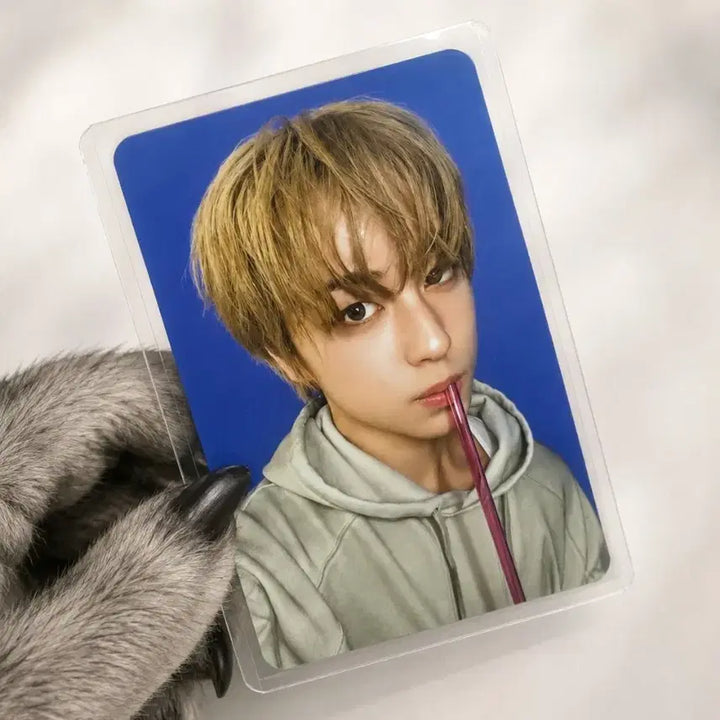 [BUNJANG] ENHYPEN Taki VR Straw Photocard / 앤팀 VR 타키 빨대 포카