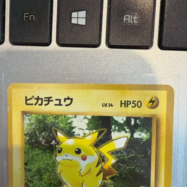 [BUNJANG] Pokemon Card Pikachu Old Back 3-Set (Sunset Chu, Jungle Chu) / 포켓몬카드 피카츄 올드백 3종 세트 노을츄 정글츄
