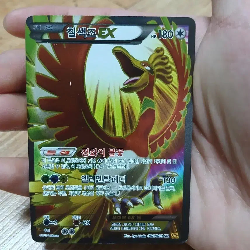 [BUNJANG] Pokemon Card Moltres EX / 포켓몬 카드 칠색조 EX