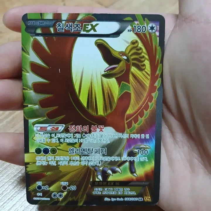 [BUNJANG] Pokemon Card Moltres EX / 포켓몬 카드 칠색조 EX
