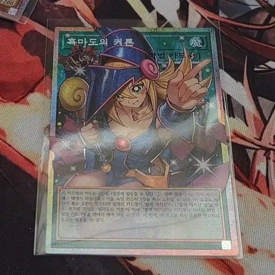 [BUNJANG] Dark Magician&