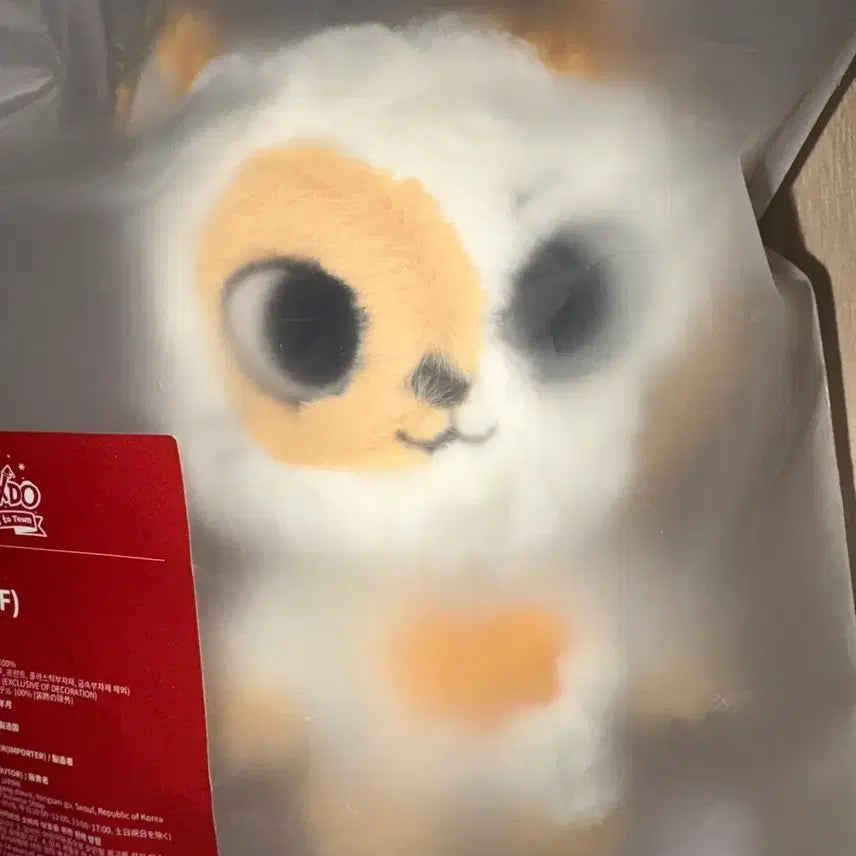 [BUNJANG] BOYNEXTDOOR Seungho Cat Ppy Plush Keyring + Photocard Bundle Set / 보넥도 쁘넥도 성호 캣삐 플러시 키링 +증사 미개봉