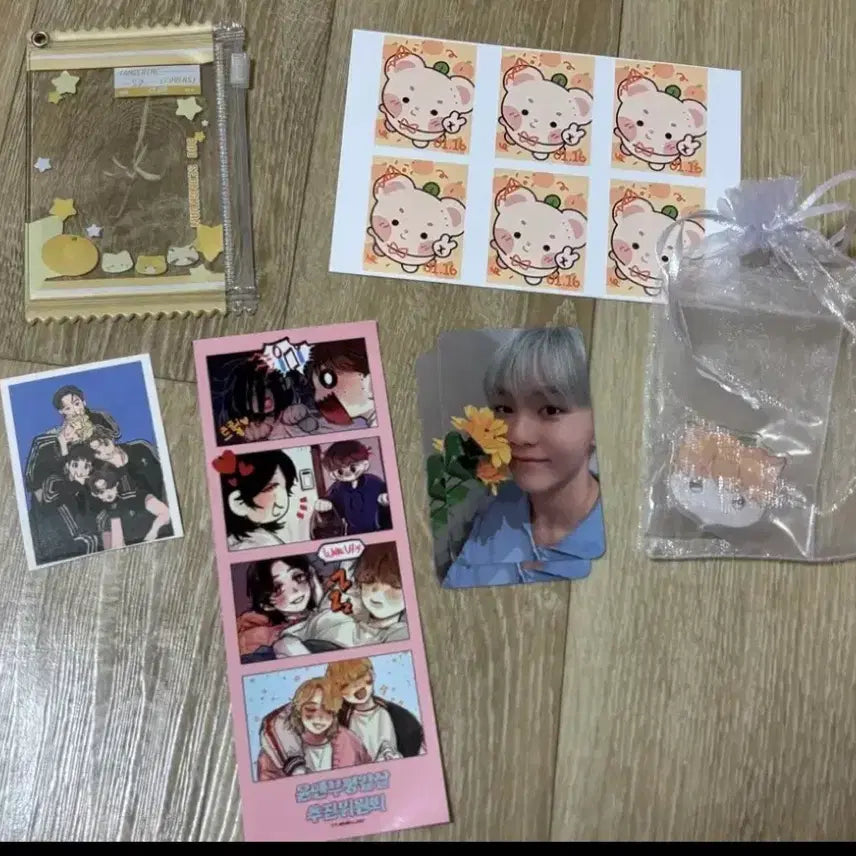 [BUNJANG] Seventeen Seungkwan Bundle Set Photocard Pouch, Clip, Sticker, Trading Card / 세븐틴 승관 비공굿 일괄