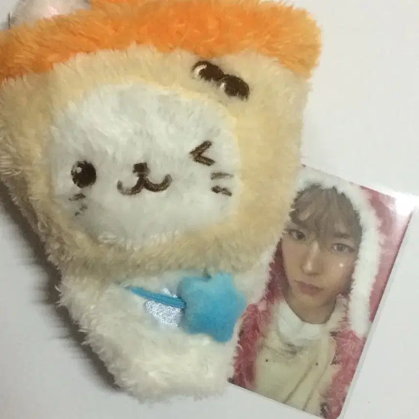 [BUNJANG] NCT Yushi Bubble Cat Plush / 유우시 버블냥 엔시티 위시 위시돌 인형 누이 블냥이