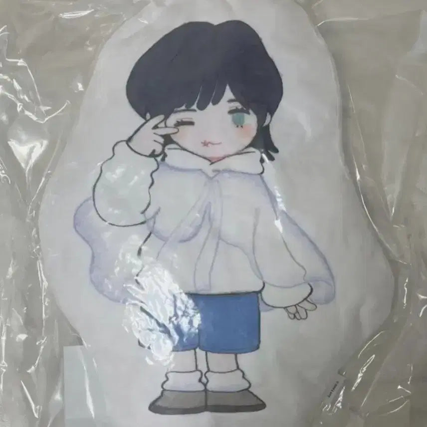 [BUNJANG] TXT Beomgyu Limited Edition Plush Cushion / [일주일특별세일] 한정판)투바투 범규 쿠션 투바투 범규 치카이 쿠션 범규 인형 투바투 인형