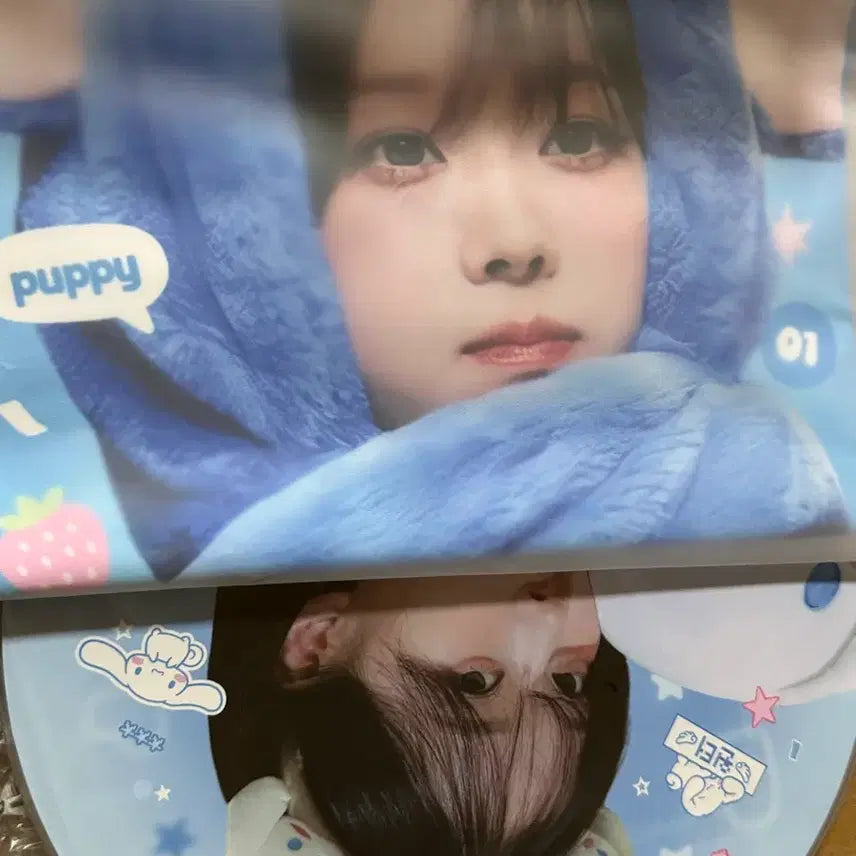 [BUNJANG] Aespa Winter China Team Winter Slogan Uchiwa Bundle Set / 에스파 윈터 중국 팀윈터 슬로건 우치와 일괄 양도