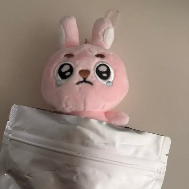 [BUNJANG] DAY6 Wonpil Unfiltered Ppoengpil Doll / 데이식스 원필 언필터드 뿌엥필