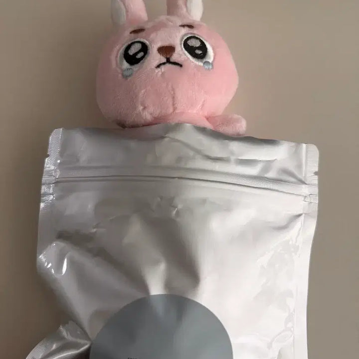 [BUNJANG] DAY6 Wonpil Unfiltered Ppoengpil Doll / 데이식스 원필 언필터드 뿌엥필