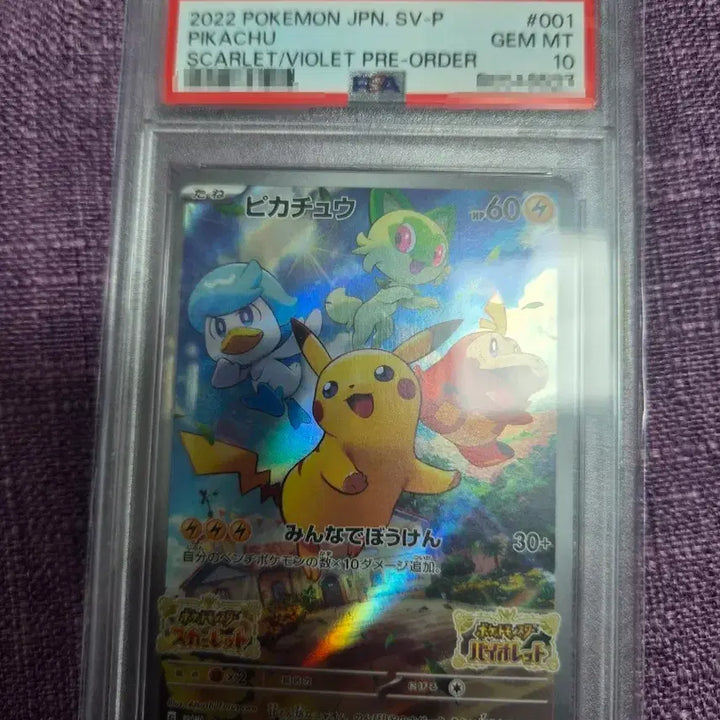 [BUNJANG] 2022 Pokemon Pikachu Scarlet &amp; Violet Pre-order GEM MT 10 Graded Card / 2022 포켓몬 SV-P 피카츄 스칼렛 바이올렛 프리오더 GEM MT 10