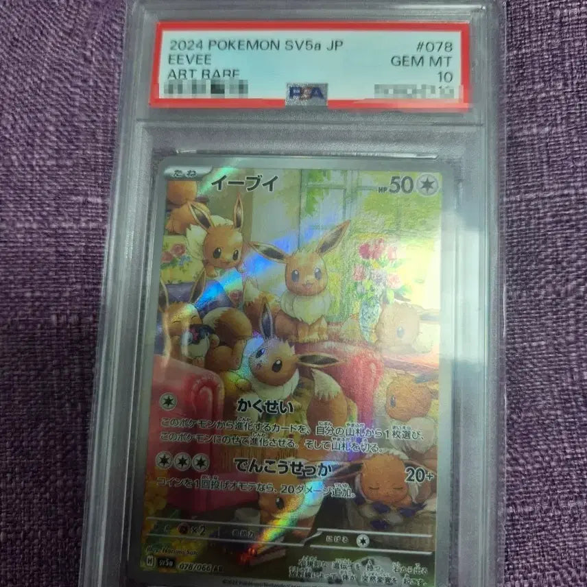 [BUNJANG] 2024 Pokemon Card Eevee ART RARE PSA 10 / 2024 포켓몬카드 이브이 ART RARE 10 등급
