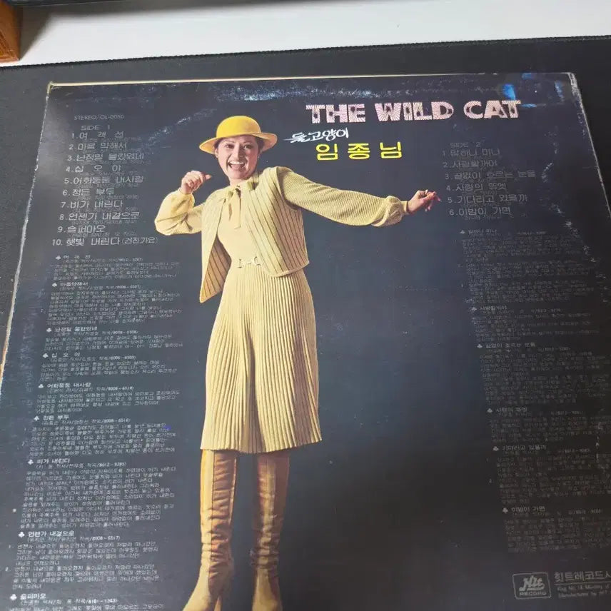 [BUNJANG] The Stray Cats &