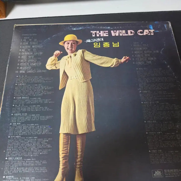 [BUNJANG] The Stray Cats &