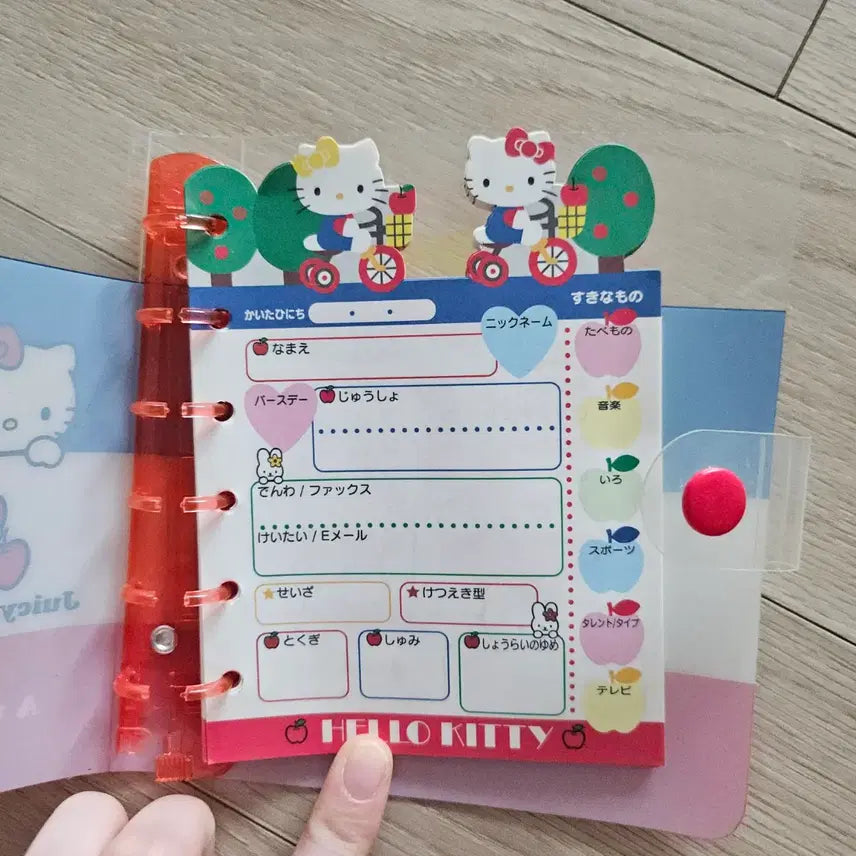 [BUNJANG] Vintage Hello Kitty Diary / 고전 헬로키티 다이어리
