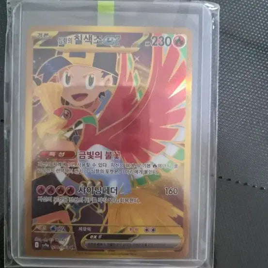 [BUNJANG] Charizard, Entei, Moltres / 심향의칠색조ur , 로켓단의페르시온sr,  로켓단의파이어sr