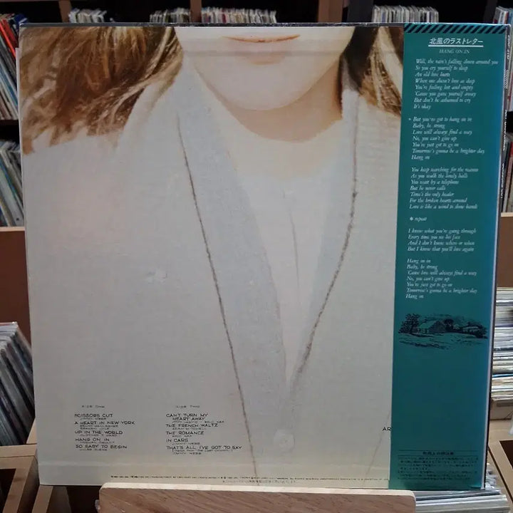 [BUNJANG] Simon &amp; Garfunkel "The Concert in Central Park" LP / 민트 소장가치  아트 가펑클 시저스 컷 LP