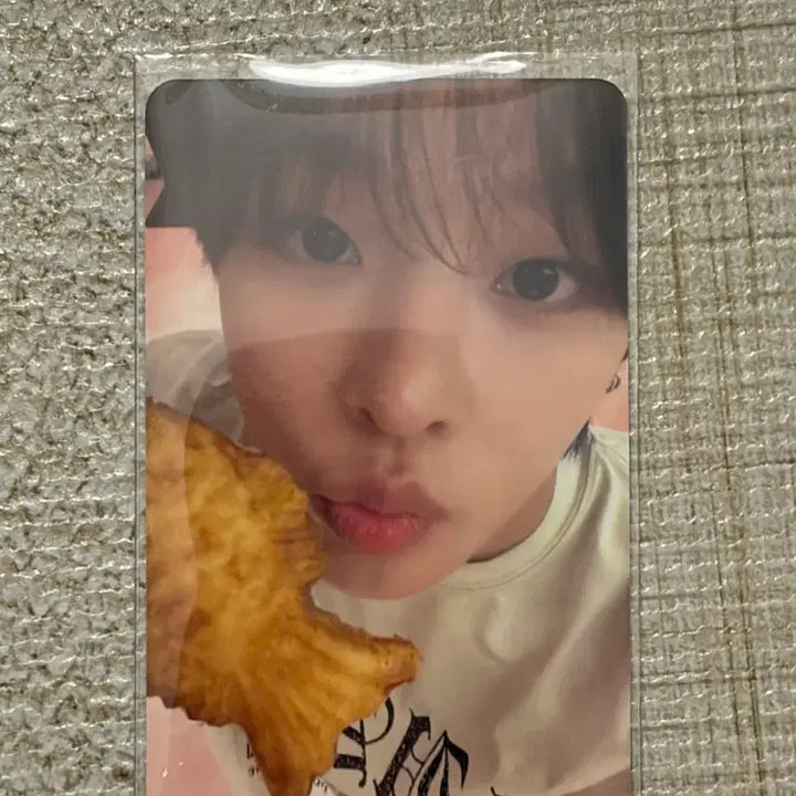[BUNJANG] NCT WISH Riku Bungeoppang Photocard / 엔시티 위시 리쿠 붕어빵