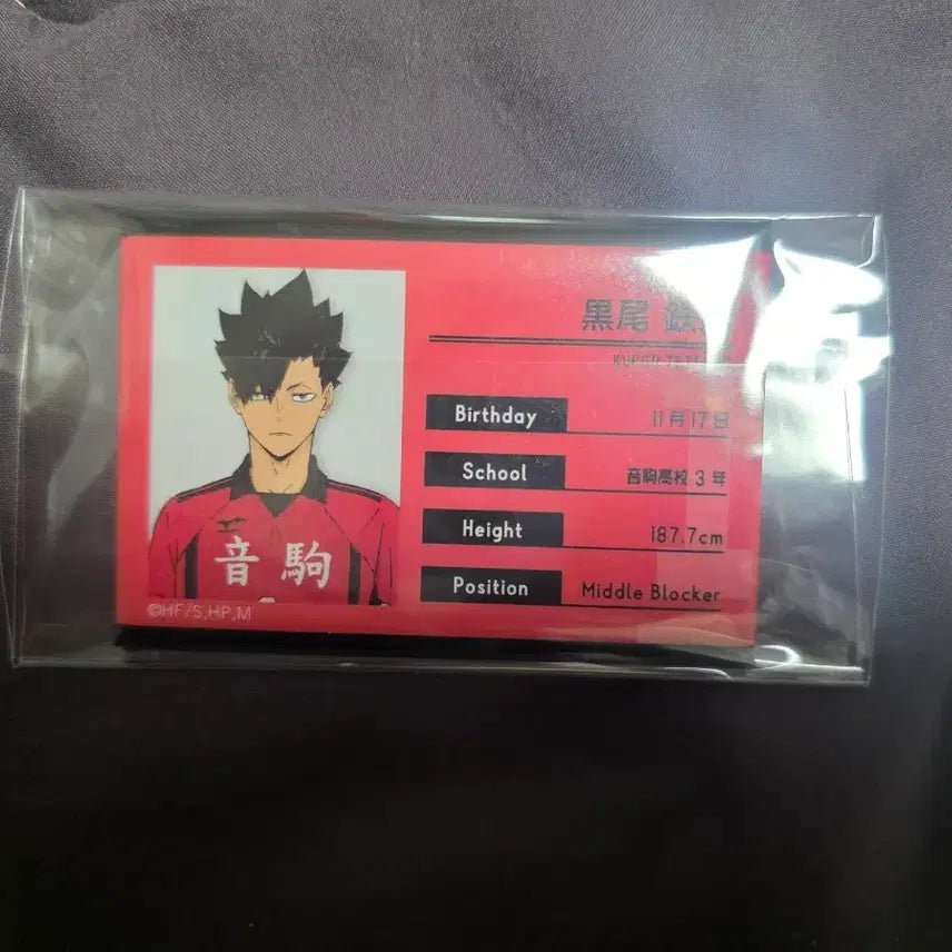 [BUNJANG] Haikyuu!! Kuroo Tetsuro Profile Can Badge / 하이큐 쿠로오 프로필 캔뱃지