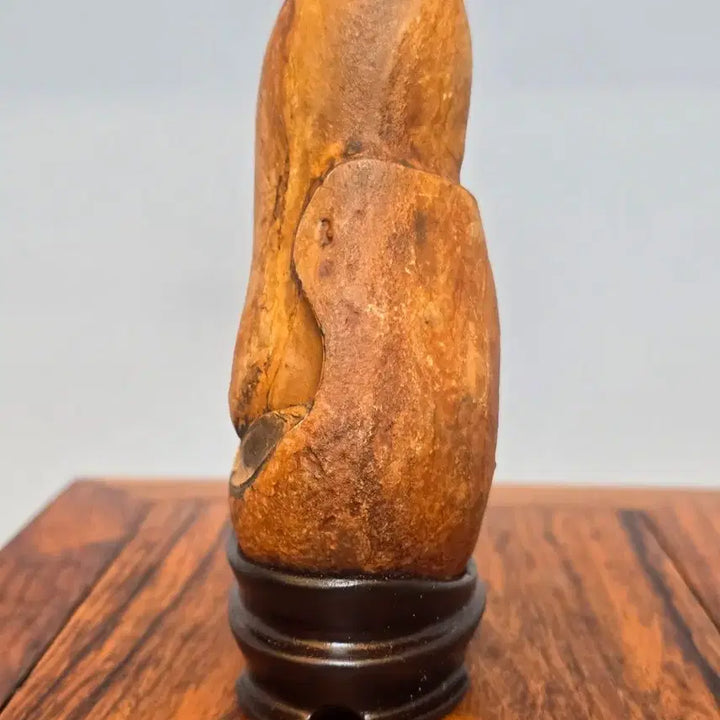[BUNJANG] Egyptian Onyx Fossil Stone / 26072122 형이 잘 생긴 이집트 마노석 사유석 광물 수석 팝니다