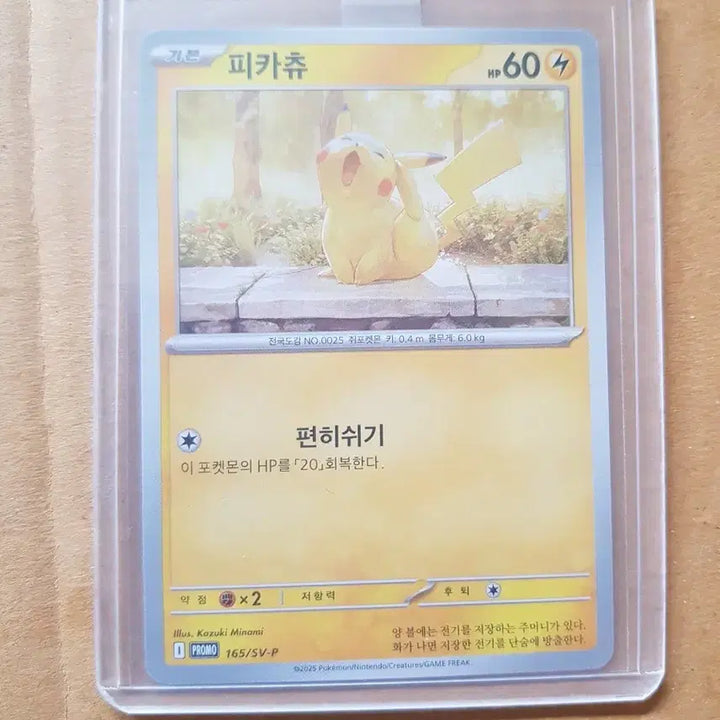 [BUNJANG] Pikachu Pokemon Promo Card / 피카츄 포켓몬 프로모 카드
