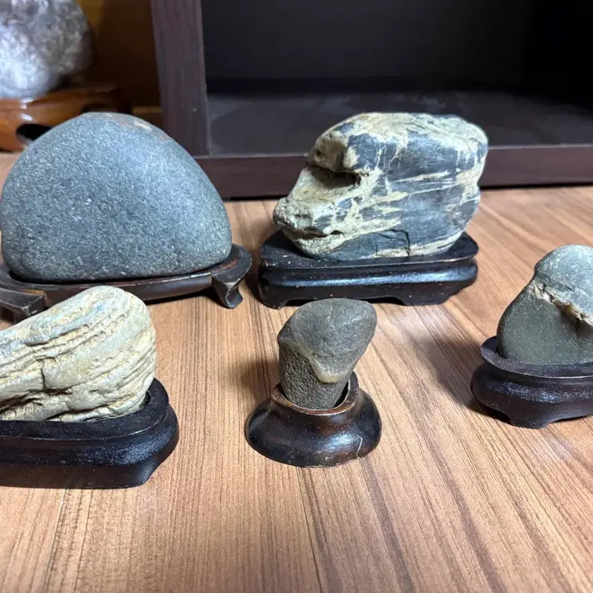 [BUNJANG] Decorative Stone Collection - Set of 5 / [일괄] 수석/수석돌/돌 인테리어/취미소품/자연석 수석/장식용 돌