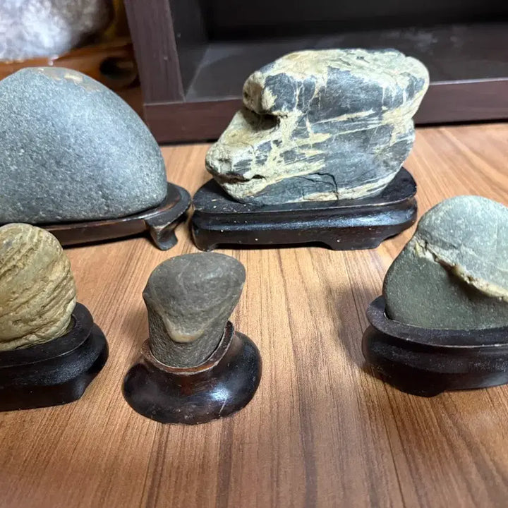 [BUNJANG] Decorative Stone Collection - Set of 5 / [일괄] 수석/수석돌/돌 인테리어/취미소품/자연석 수석/장식용 돌