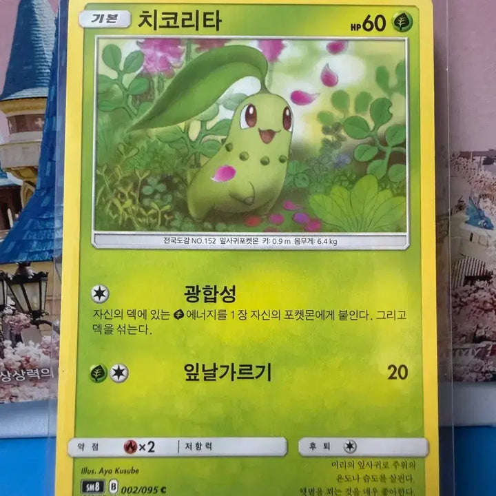 [BUNJANG] Pokemon Card Chikorita 2018 Album Version / 포켓몬카드 2018 치코리타 앨범용