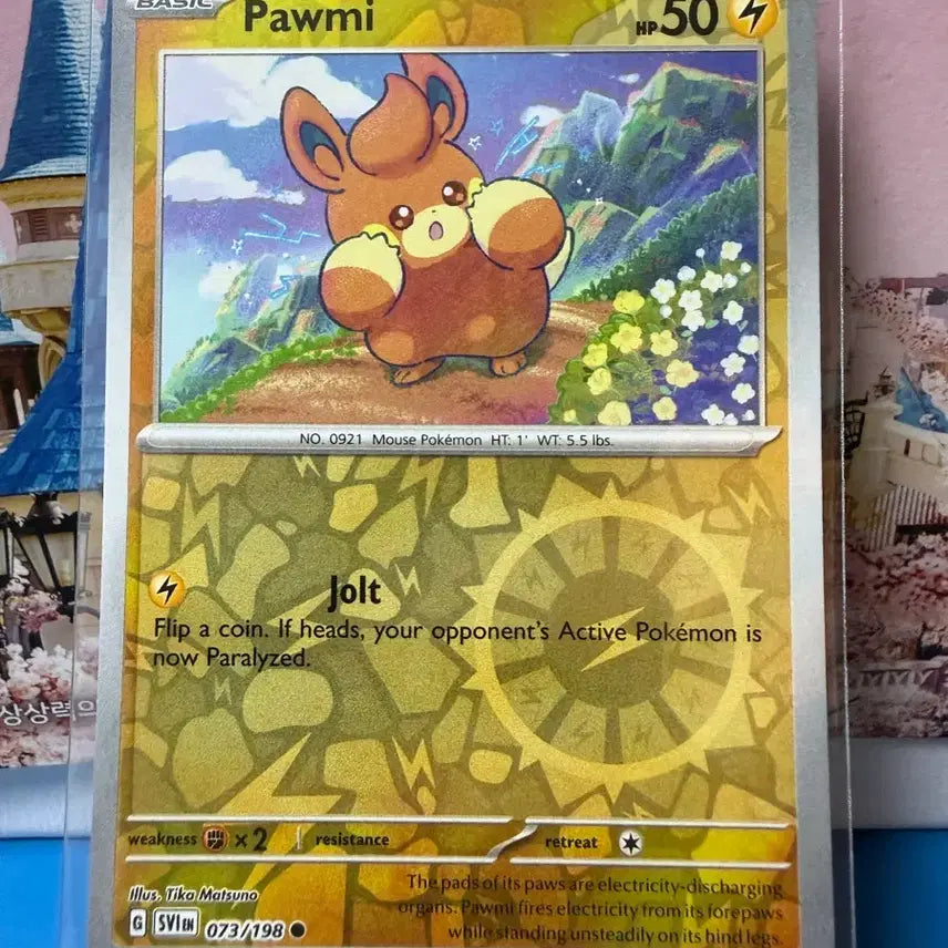[BUNJANG] Pokemon Card - Pamoht Holo (A-Class) / 북미 포켓몬카드 빠모트 홀로 A-급