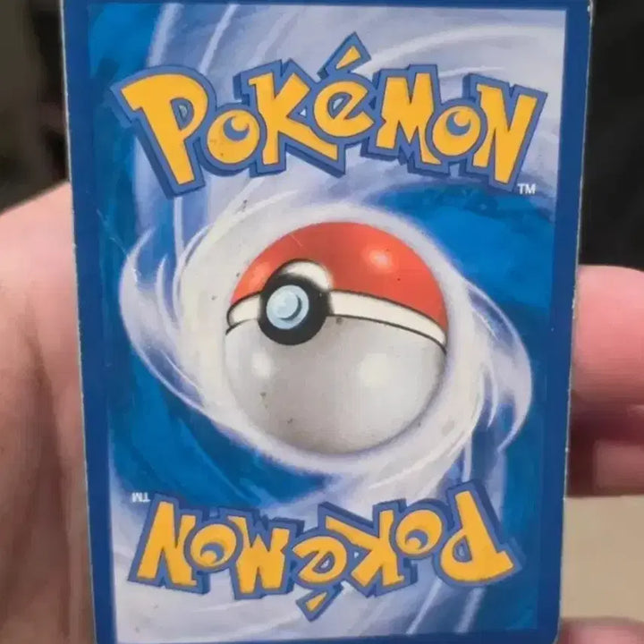 [BUNJANG] Pokemon Card Dubwool EX CP4 / 포켓몬카드 두빅굴 EX CP4