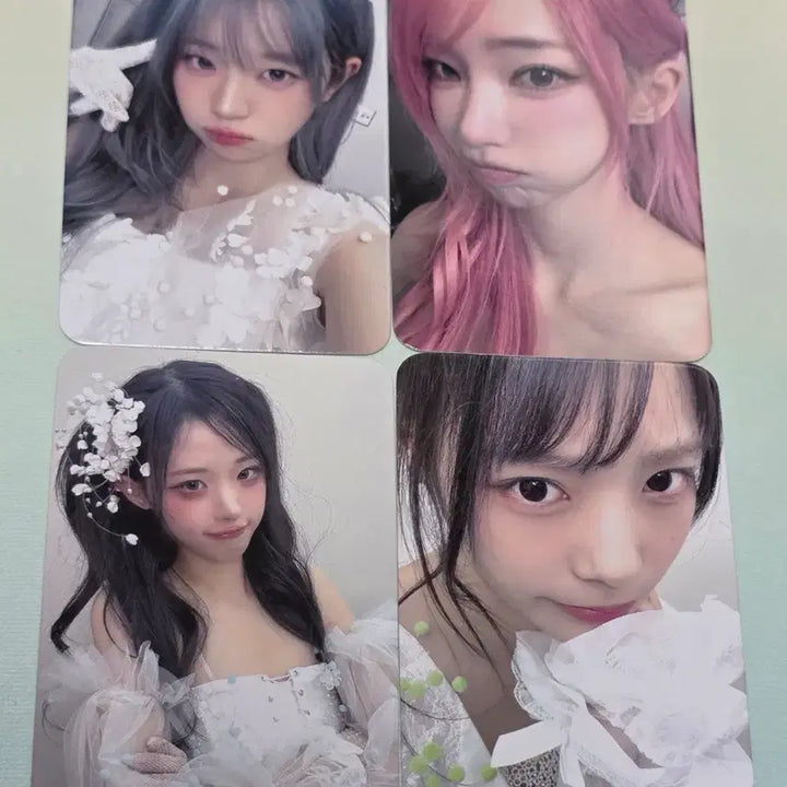 [BUNJANG] QWER 5.9 Dimamü Don&