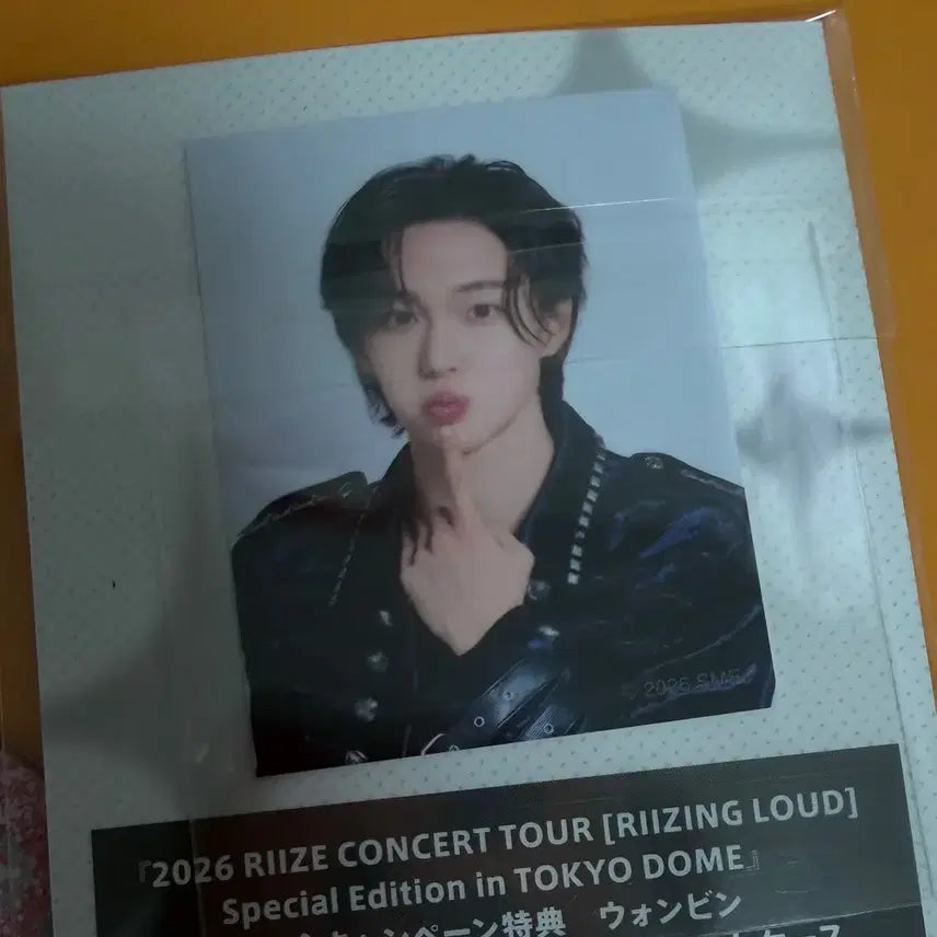 [BUNJANG] RIIZE BREEZE JAPAN Exclusive Wonbin Photocard / 라이즈 일본 팬클럽 브리즈재팬 특전 원빈