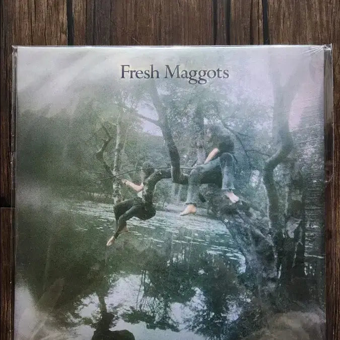 [BUNJANG] Fresh Maggots 2LP 180g Vinyl (Sealed, 2007) / Fresh maggots 미개봉 2lps 2007년 Sunbeam