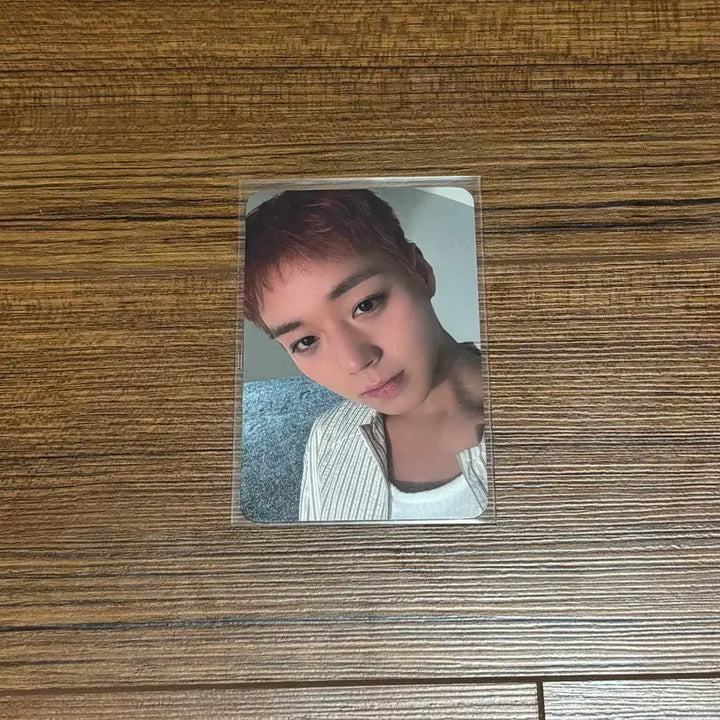 [BUNJANG] Park Jihoon REFLECT Album Photocard / 박지훈 리플렉트 plve 플브 앨범 포카 포토카드 굿즈