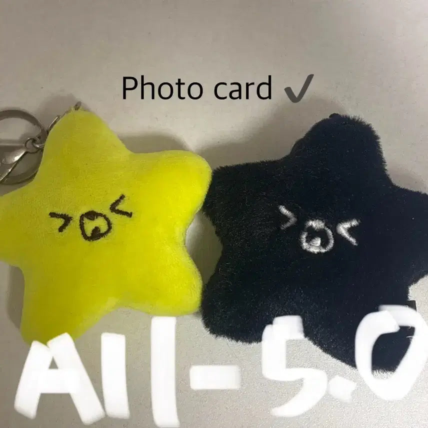 [BUNJANG] NCT Haechan "Sunny/Dark Seagull" Keyring Bundle Set with Photocard / 엔시티 해찬 햇가사리,흑가사리 키링 일괄 판매(포카포함)
